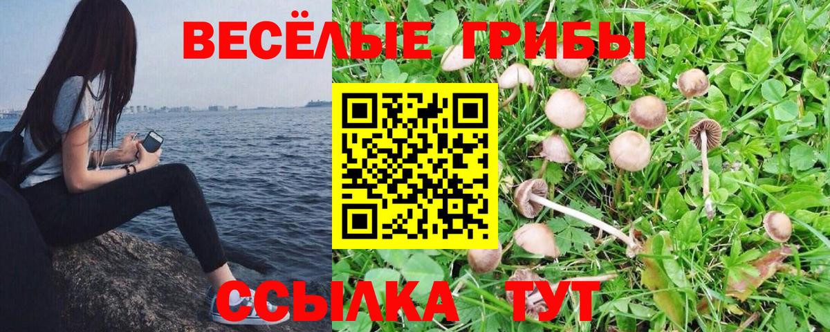 Галлюциногенные грибы Magic Shrooms Верхняя Пышма