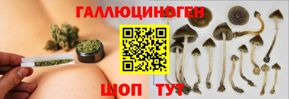 Псилоцибиновые грибы ЛСД  Галлюциногенные грибы ЛСД  Верхняя Пышма  Вход с VPN 